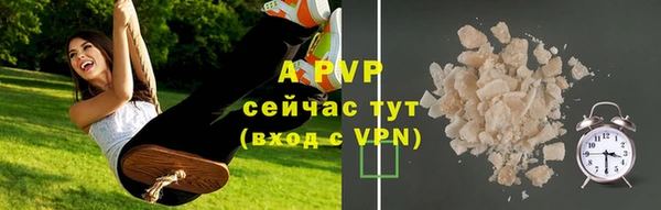 дживик Арсеньев