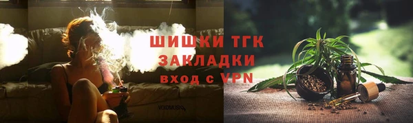 дживик Арсеньев