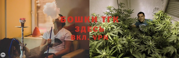 дживик Арсеньев