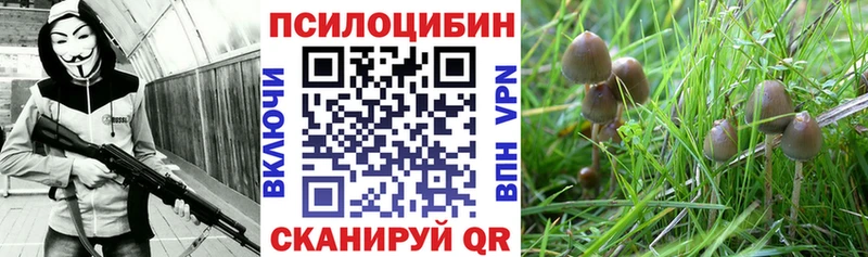 Псилоцибиновые грибы GOLDEN TEACHER  Сосновка 